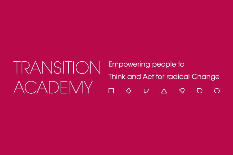 002-transition-academy-website-thumb-01