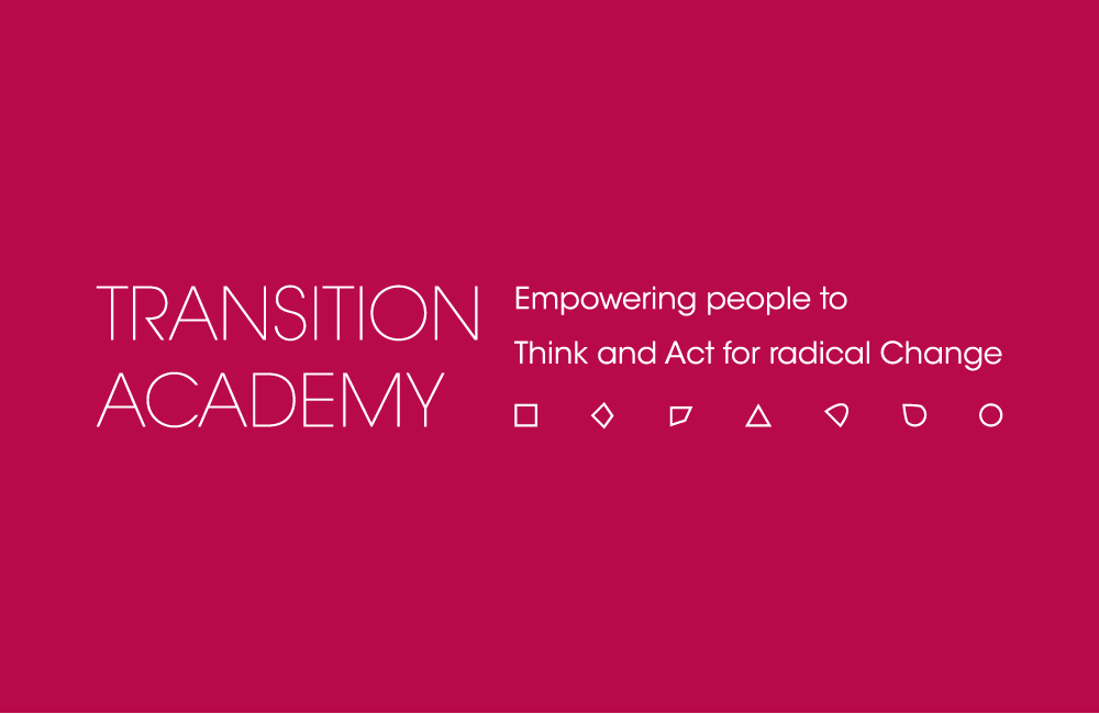 002-transition-academy-website-thumb-1
